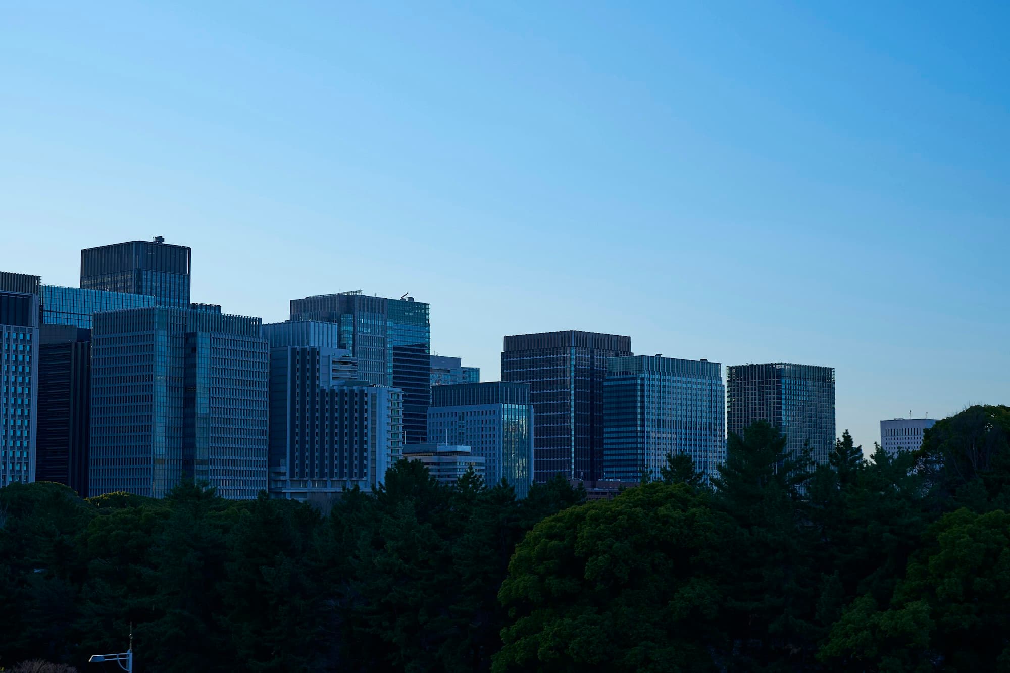 緑の木々の向こうに並ぶ、日本の都市のオフィスビル群